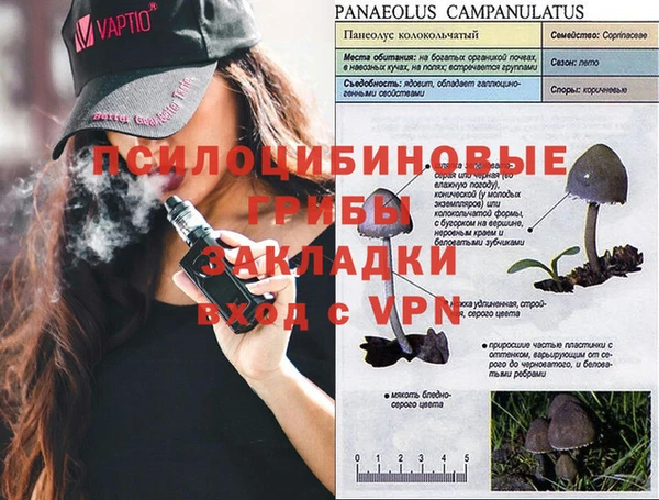 прущая мука Верхний Тагил