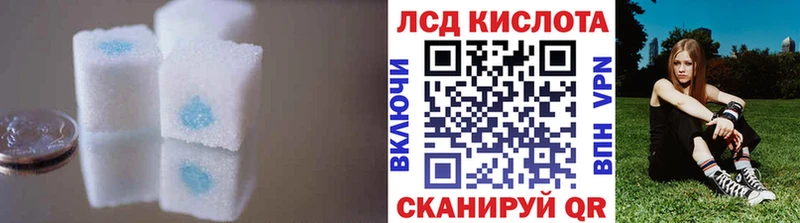 ЛСД экстази ecstasy  darknet наркотические препараты  Ленинградская 